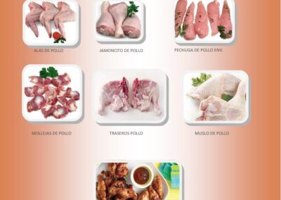 catalogo aves