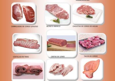 catalogo carnes congeladas