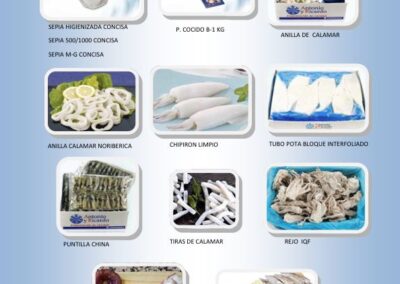 catalogo productos cefalopodos