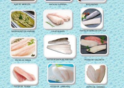 catalogo pescados