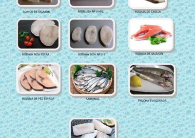 catalogo pescados 2