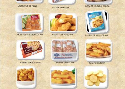 catalogo precocinados 2